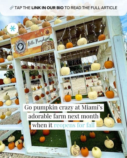 Pumpkin Farm Reopening